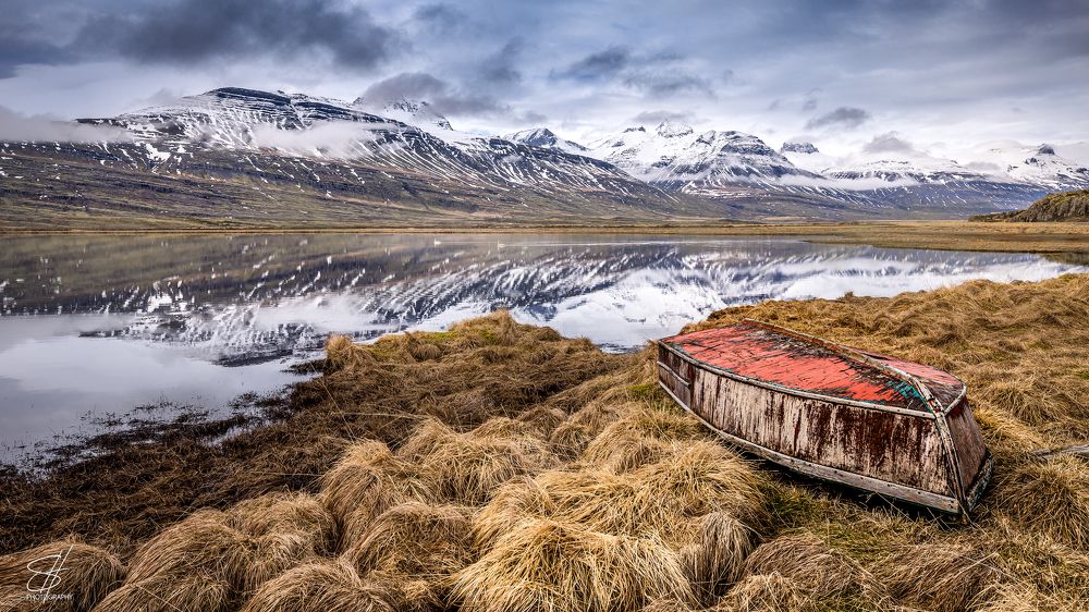 Photograph by Steve Hammond