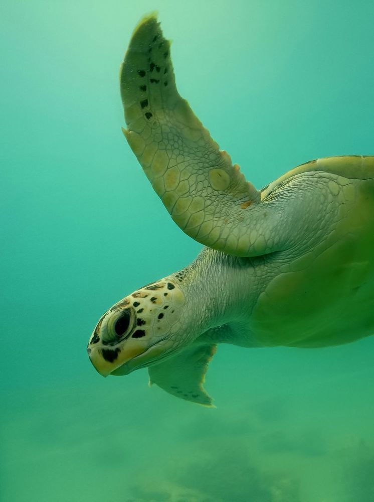 Photograph by Юрий Варюхин