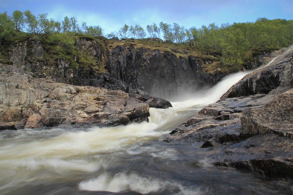 Фотография автора Светлана Терехова