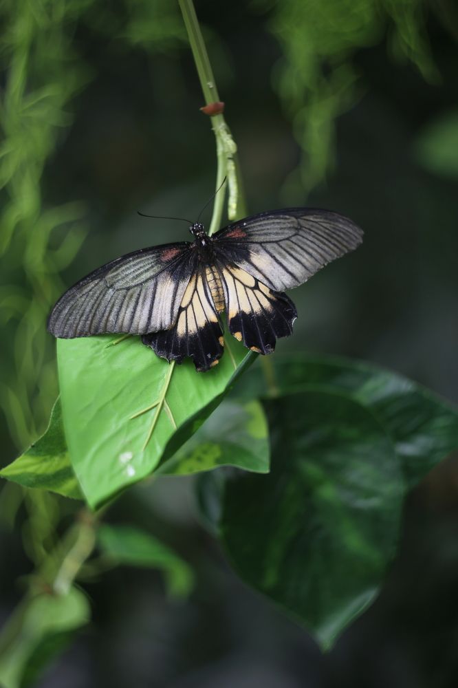 Photograph by Унку Юрий