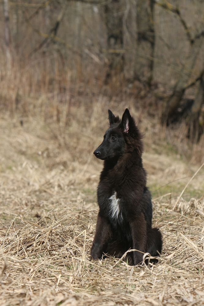 Фотография автора Надежда Лисицына