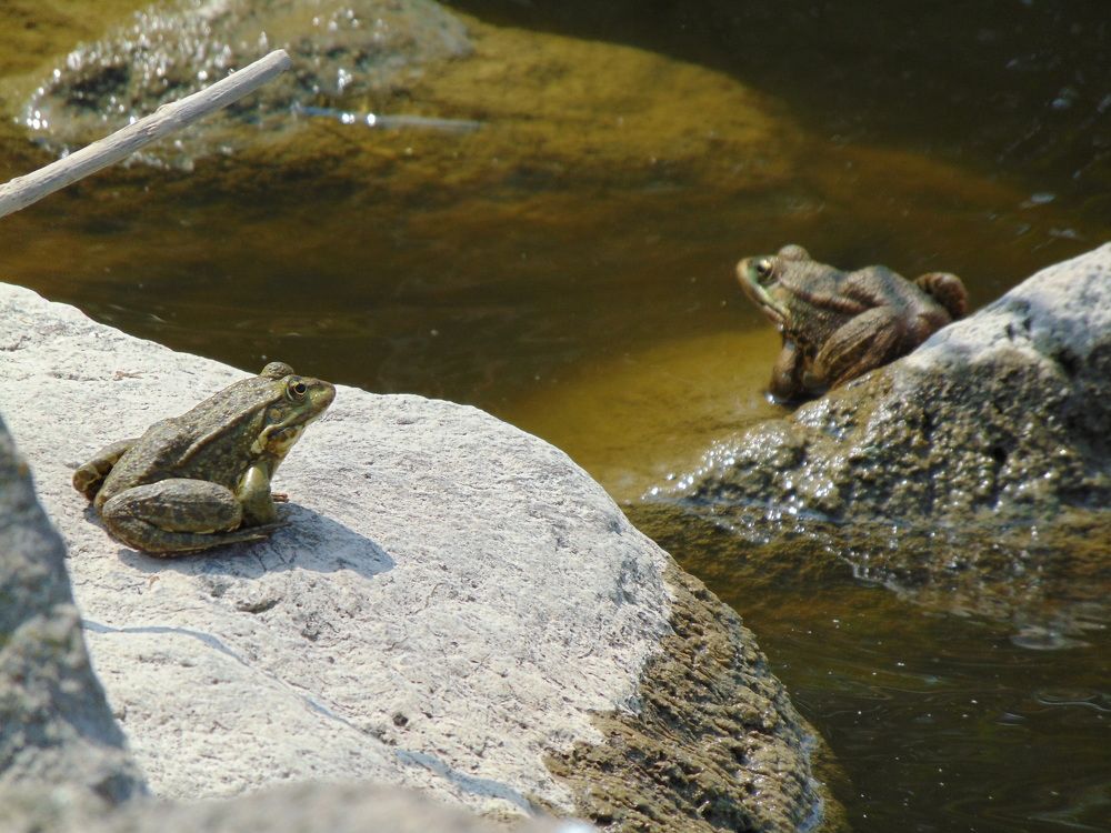 Photograph by Anna Veľasová