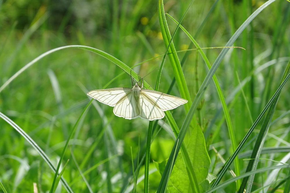 Photograph by Lyudmyla Chorney