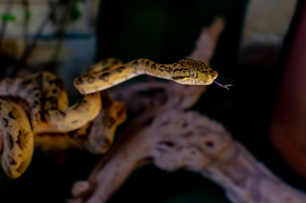 Photograph by Наталья Вялых