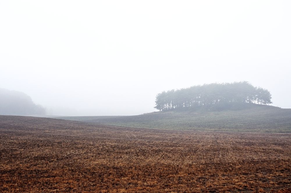 Фотография автора Роман Володащик