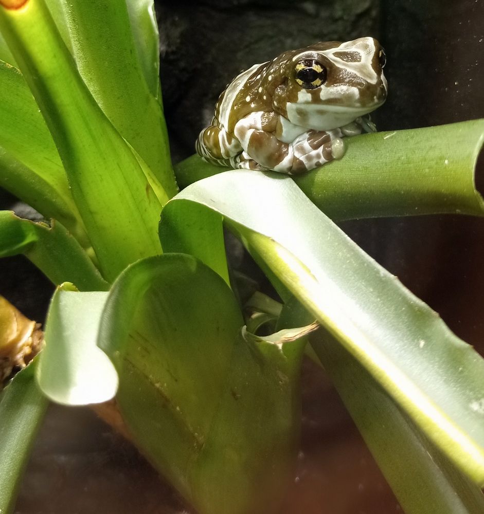 Photograph by Лара