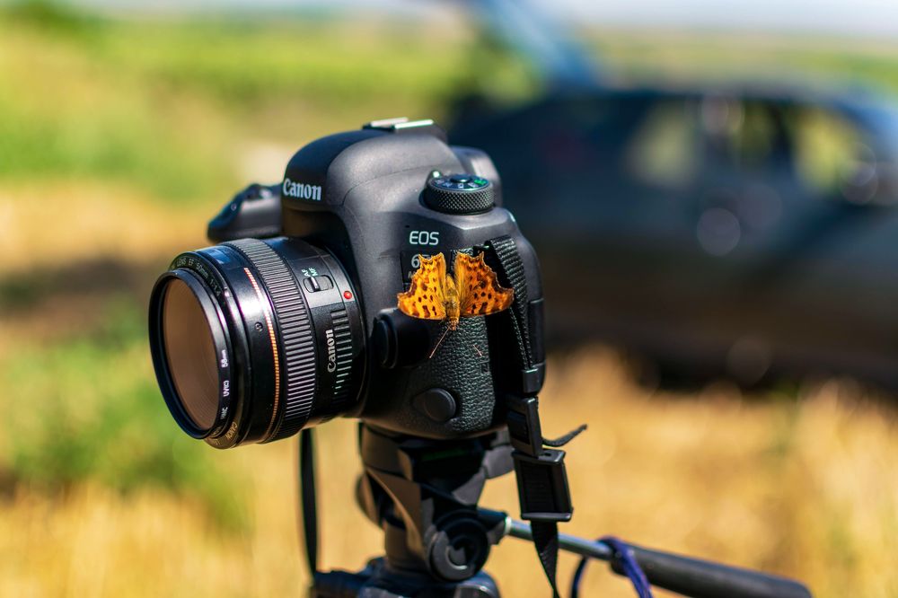 Photograph by Наталья Вялых