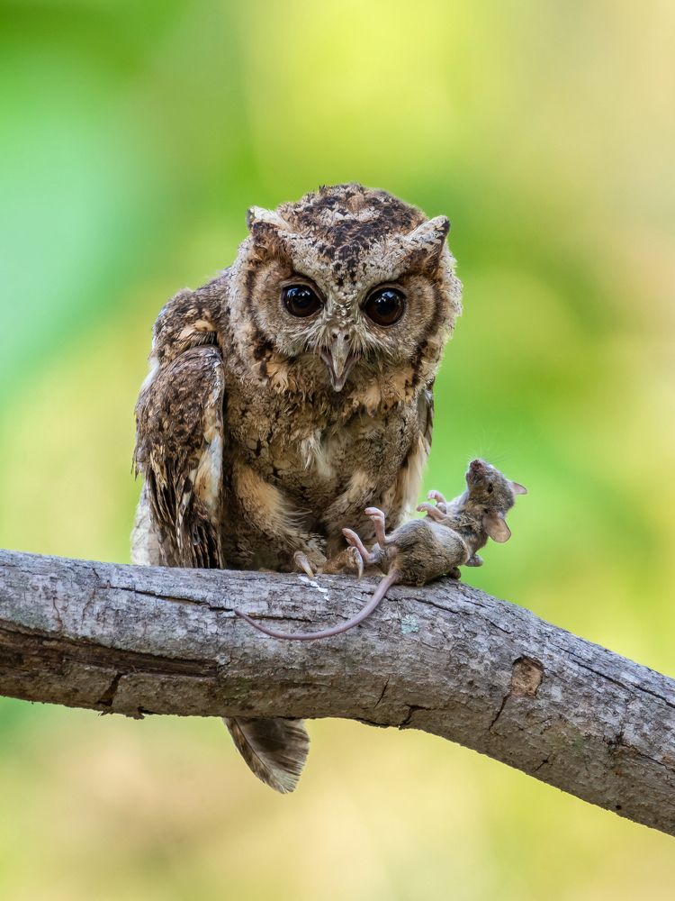 Survival of the fittest!!!