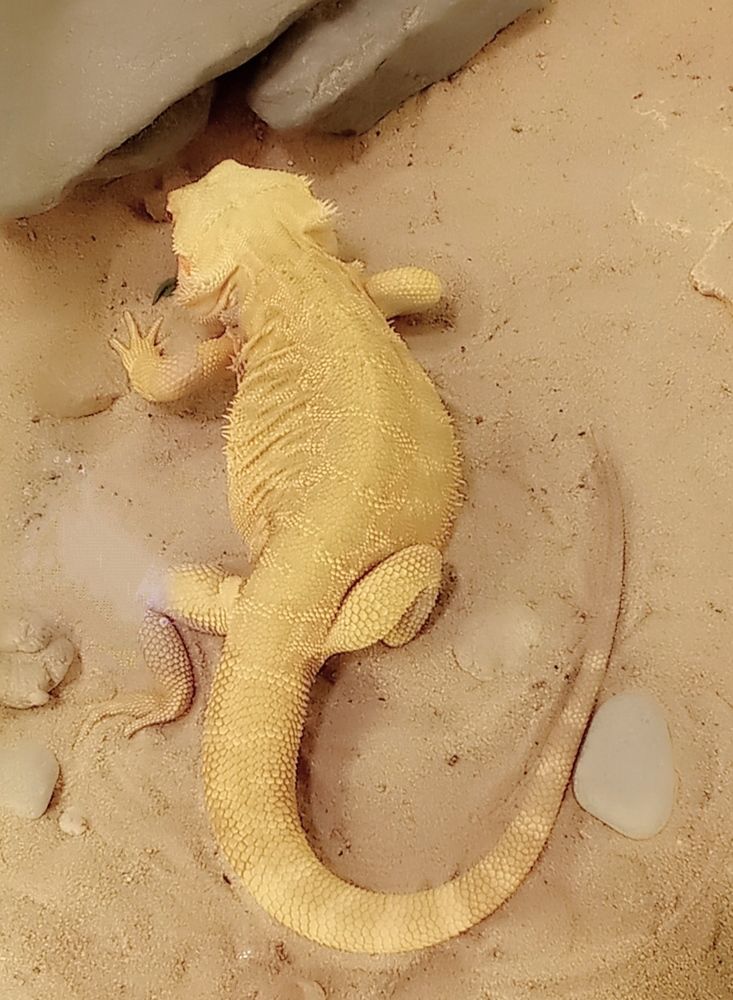 Photograph by Лара