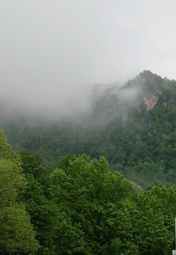 Photograph by Лара