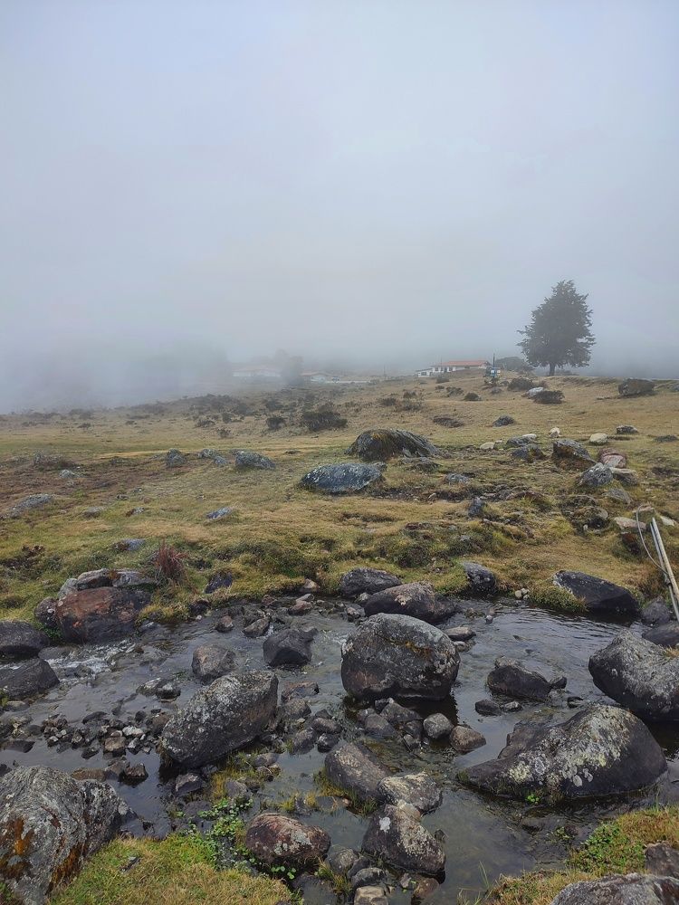 Photograph by nileydi Colmenarez