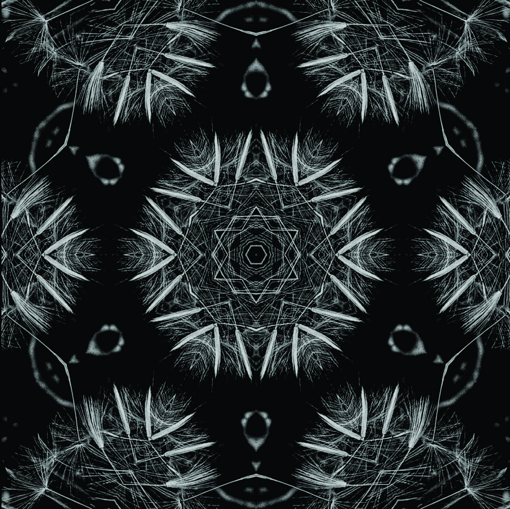 Фотография автора Jose Marcos Carvajal Tarazona