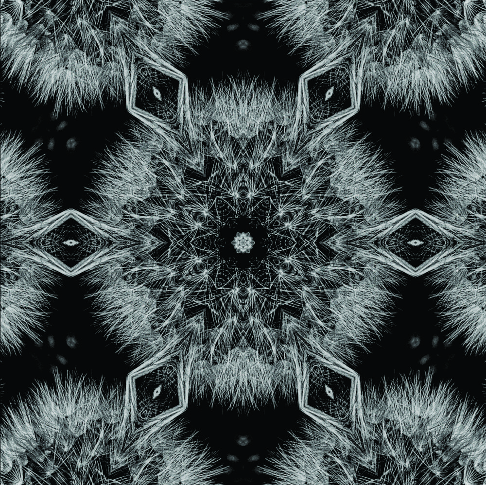 Фотография автора Jose Marcos Carvajal Tarazona