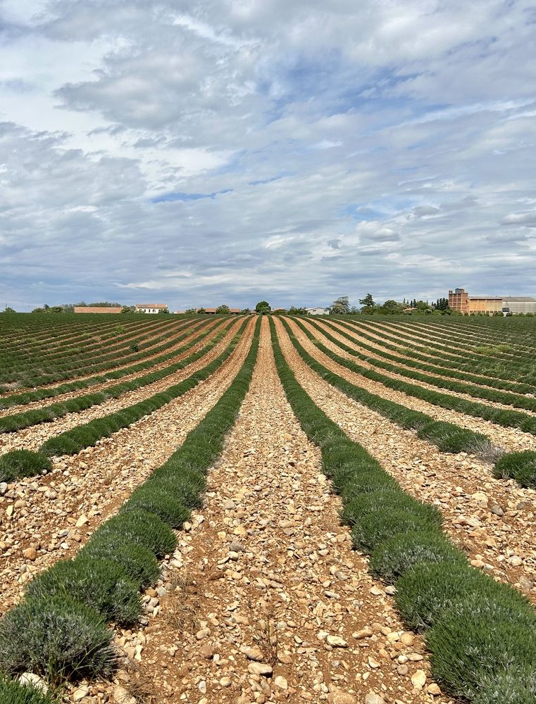 Фотография автора Tatiana Ravojski