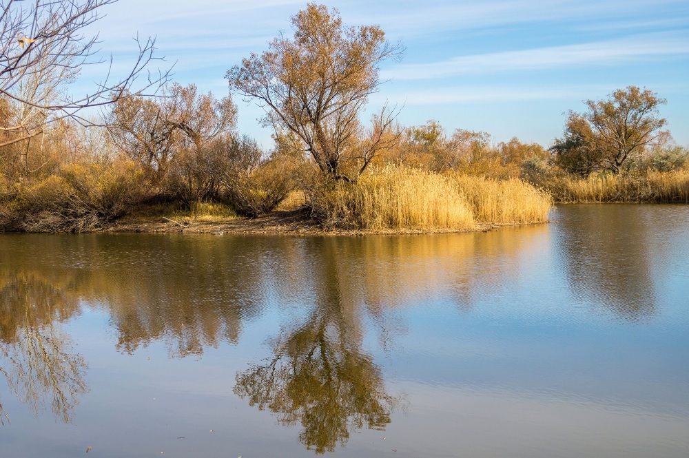 Photograph by Валерий Федяров