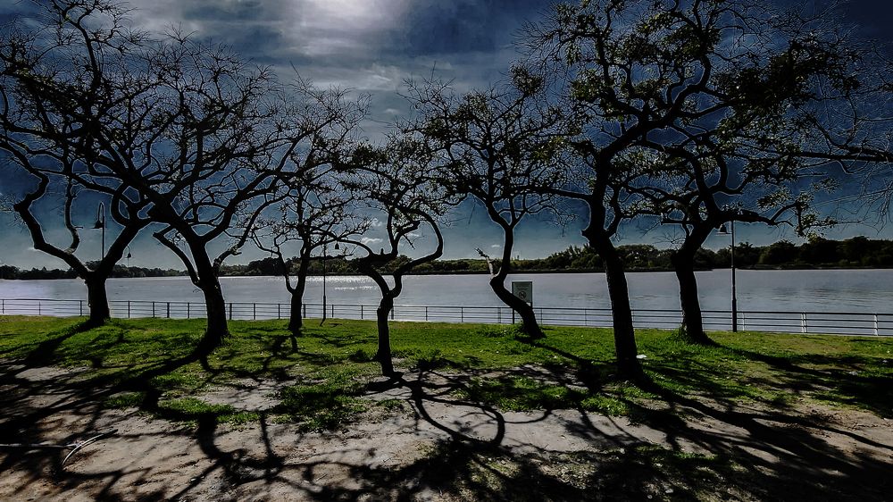 Фотография автора Daniel A. Pérez