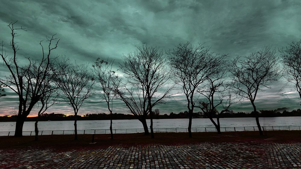 Фотография автора Daniel A. Pérez