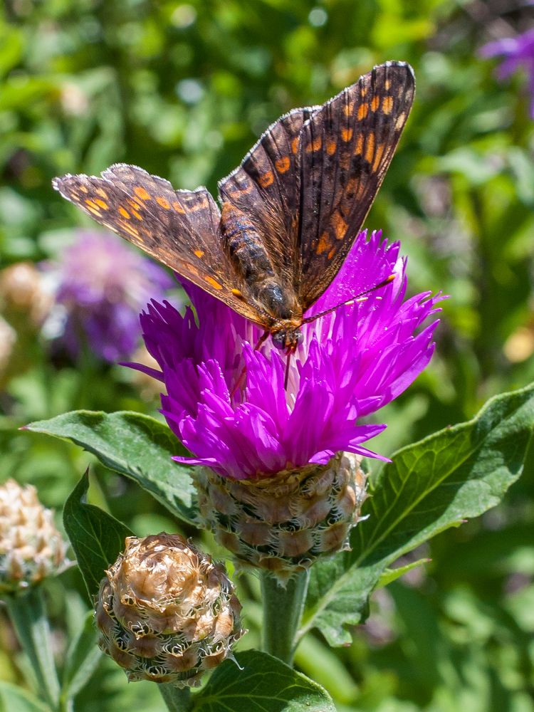Photograph by Валерий Федяров