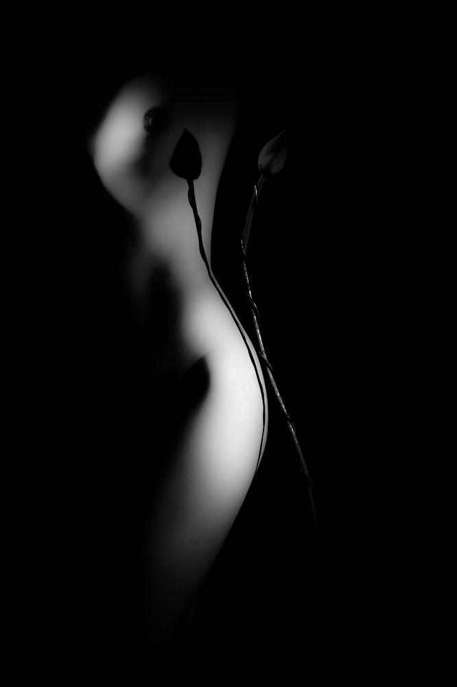 Photograph by Nguyễn Hà