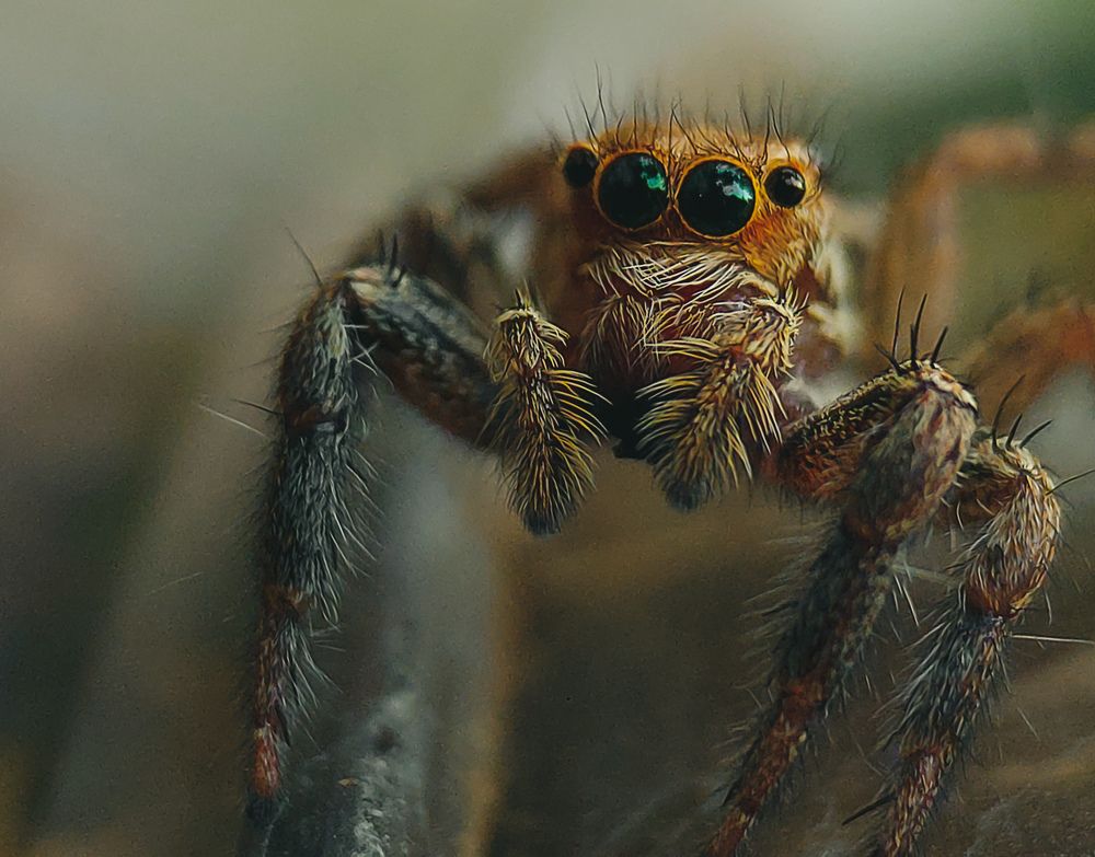 Photograph by Sumitava Chowdhury