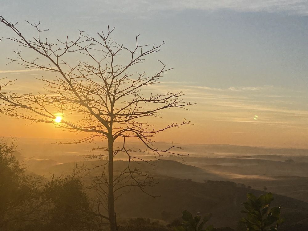 Photograph by Fernanda Silva