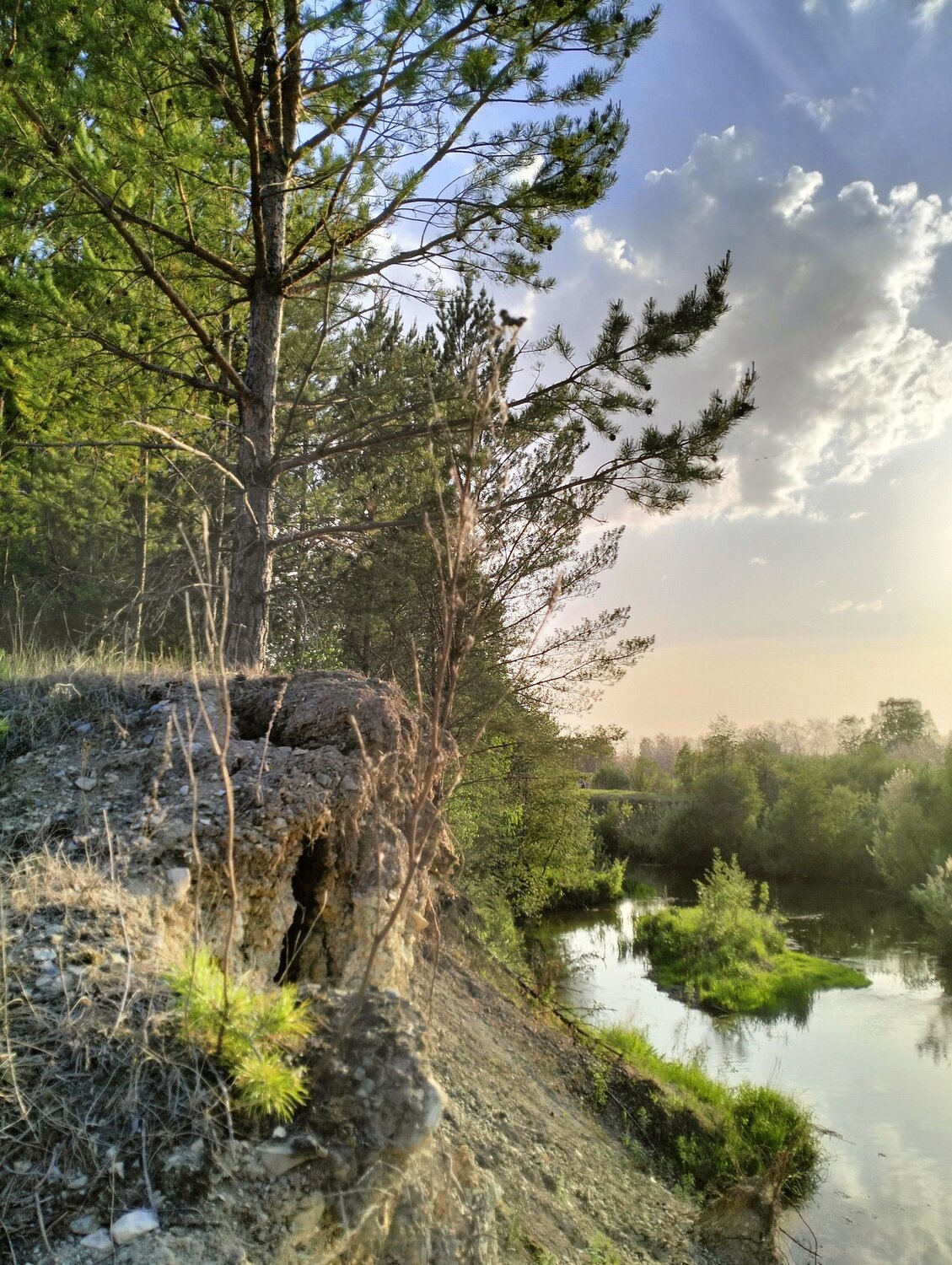 Photo #9254579