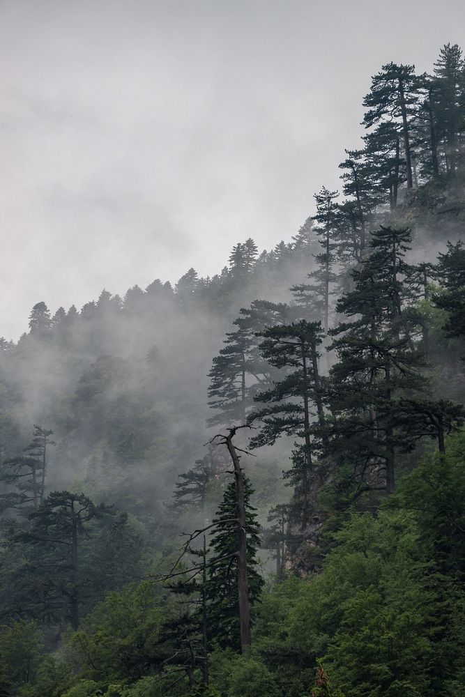 Photograph by Ксения Макарова