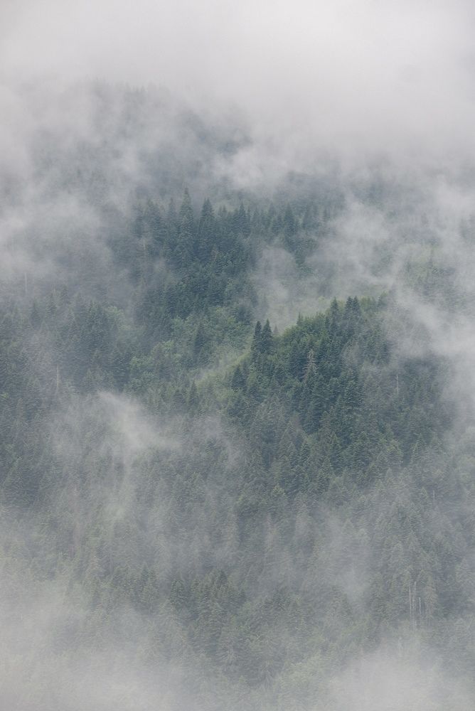 Photograph by Ксения Макарова