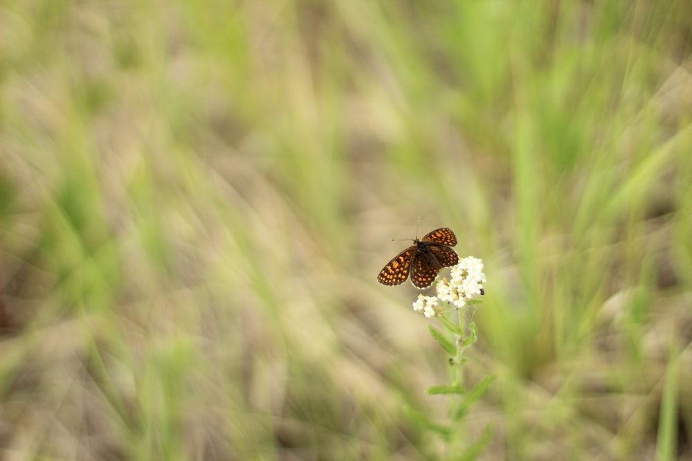 Photograph by Елена Сахарова
