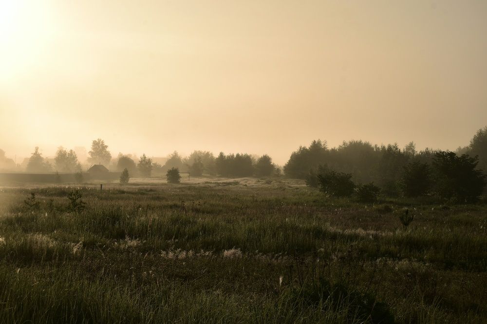 Photograph by Татьяна Носкович