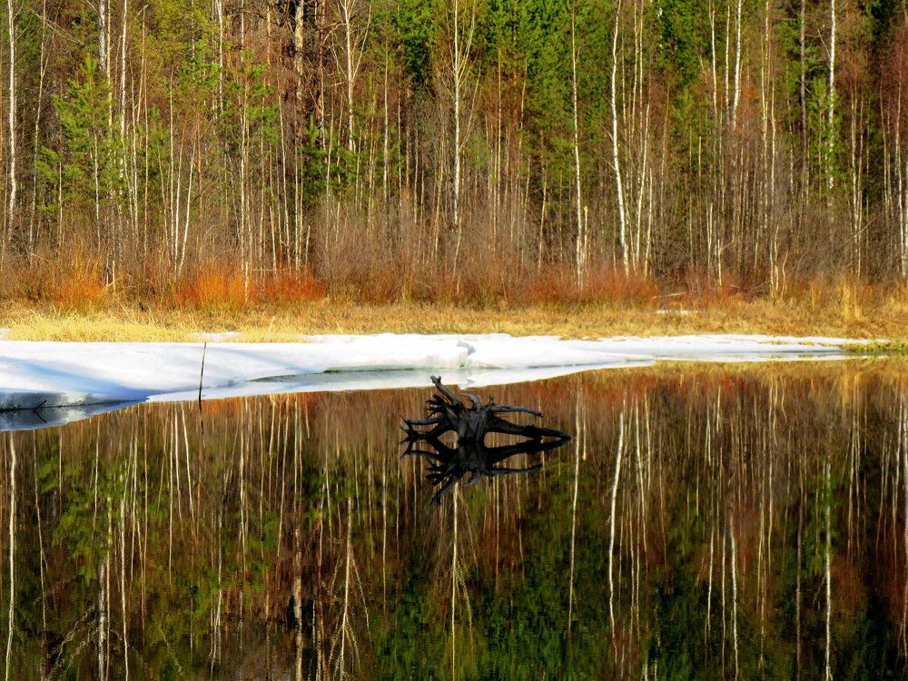 Photograph by Ирина Осипова