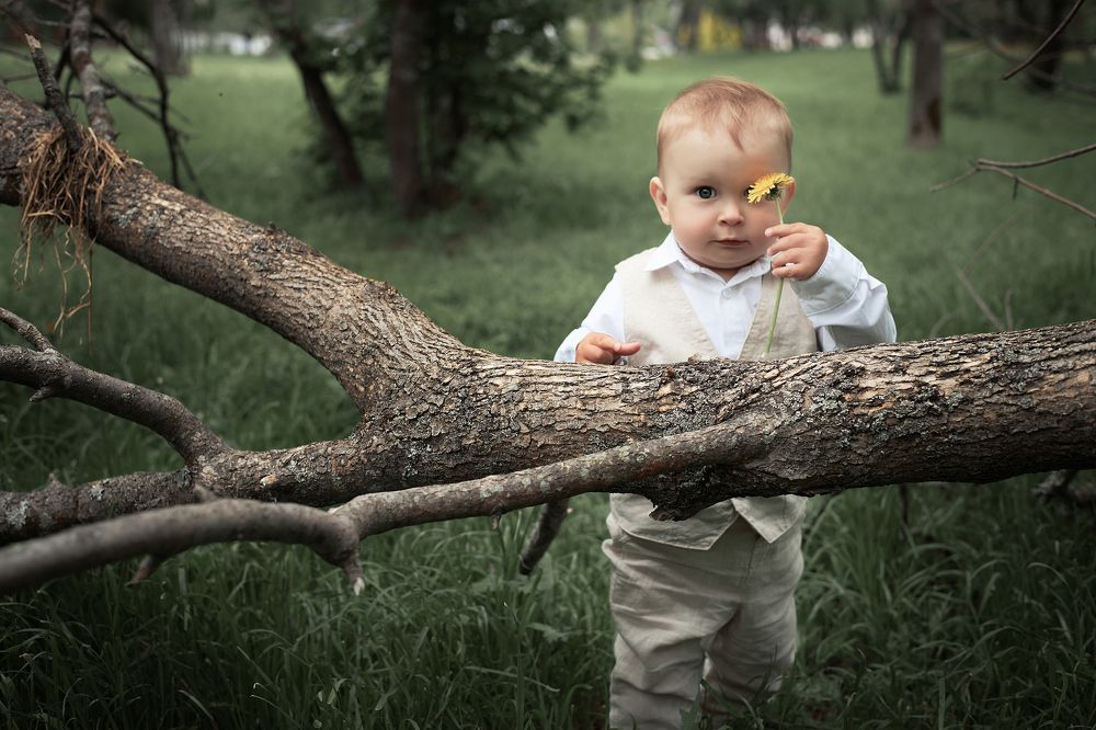 Фотография автора Ольга Бороненкова