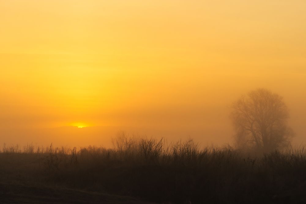 Photograph by Екатерина Дубровская