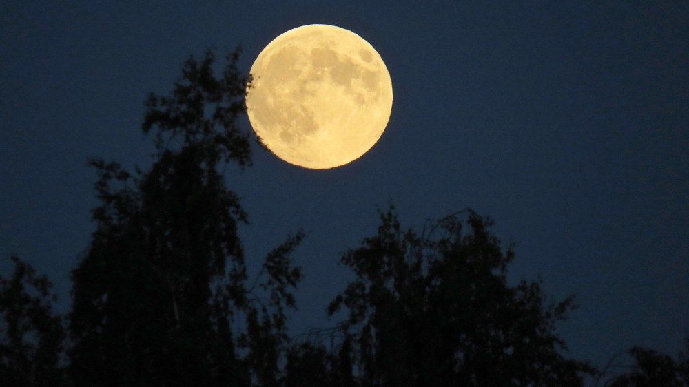 Photograph by Елена Казарина