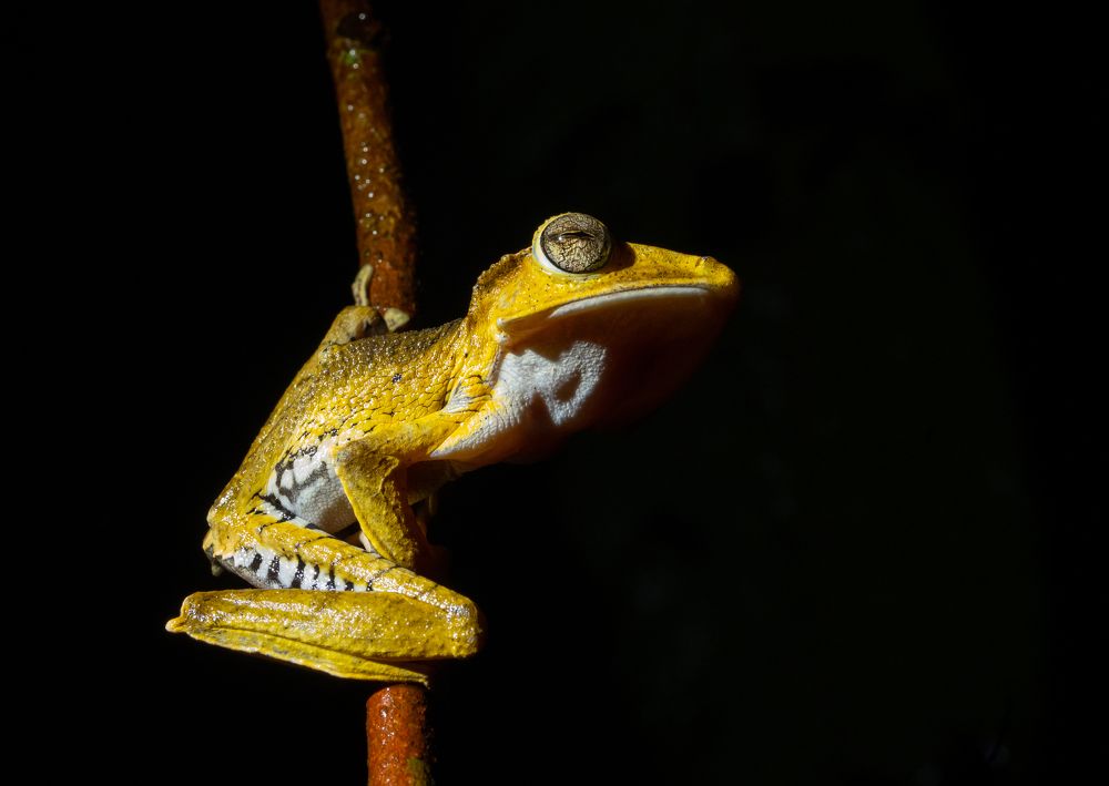 Photograph by Владимир Цветов