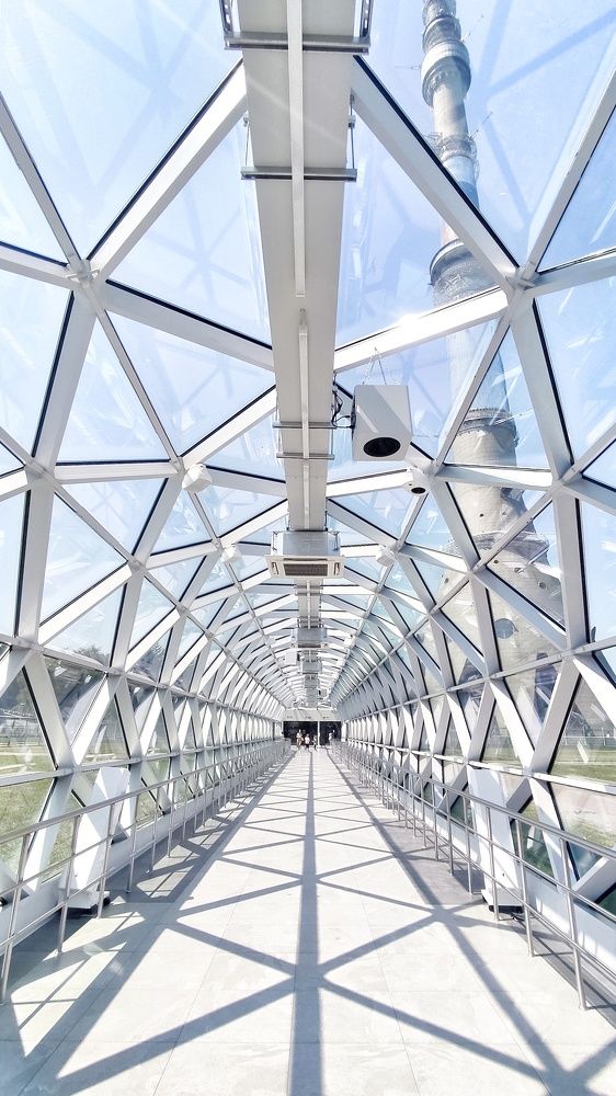 Photograph by Ольга Метлицкая