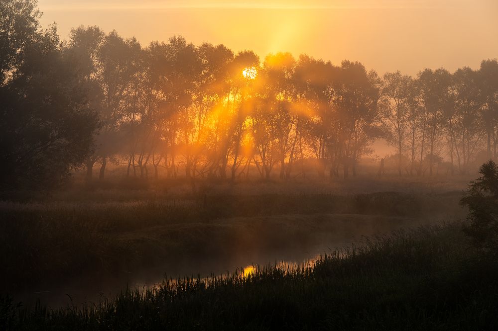 Photograph by Михаил Добродий