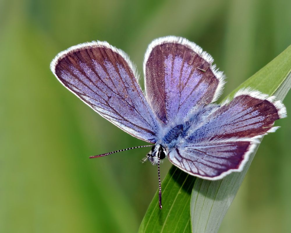 Photograph by Дмитрий Кузнецов
