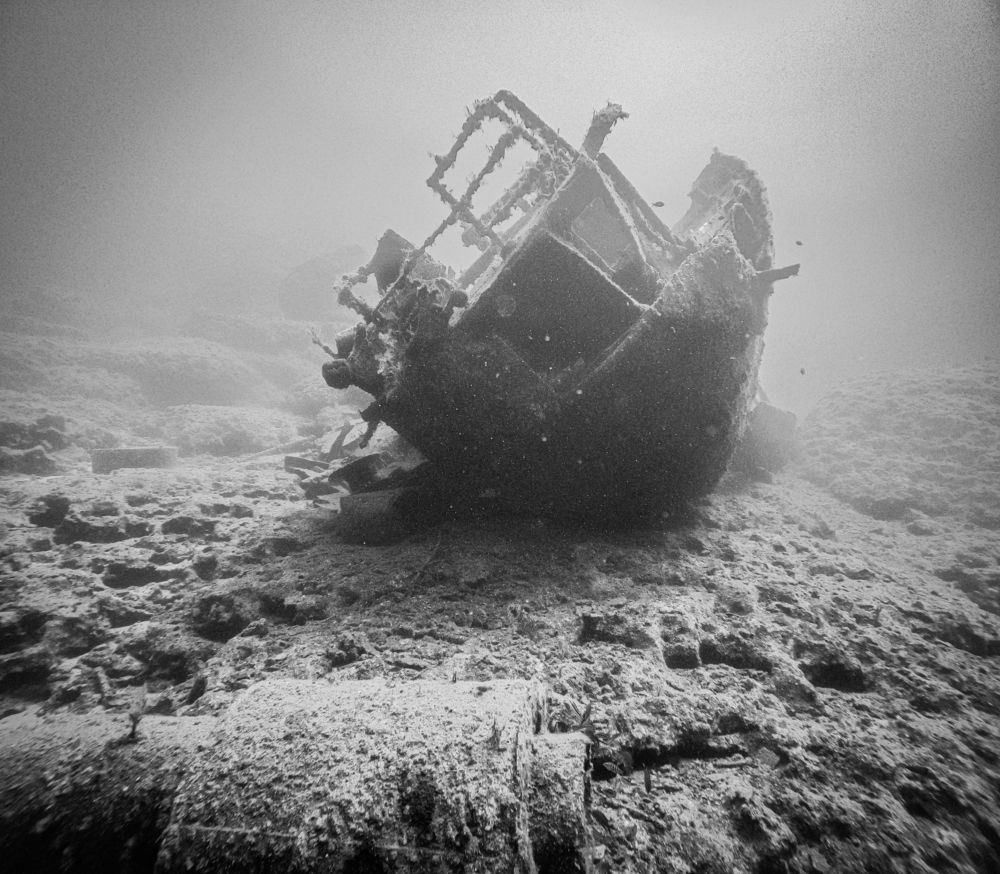 Photograph by Дмитрий Плотников