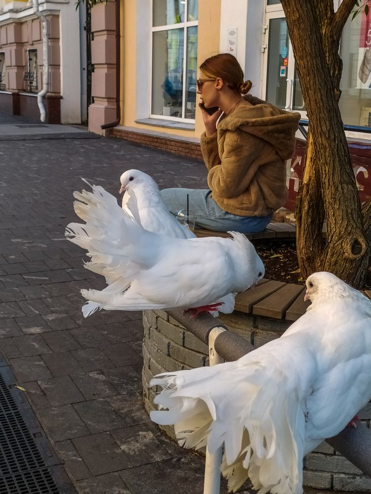 Важный разговор