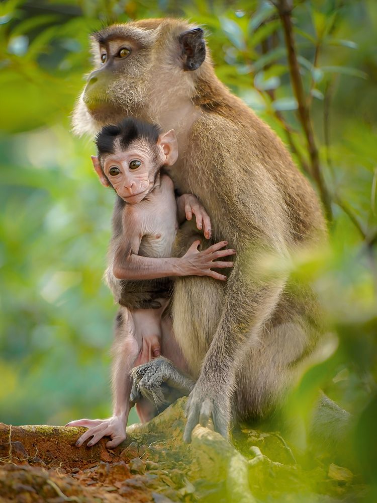 Photograph by Lee Yao Fui