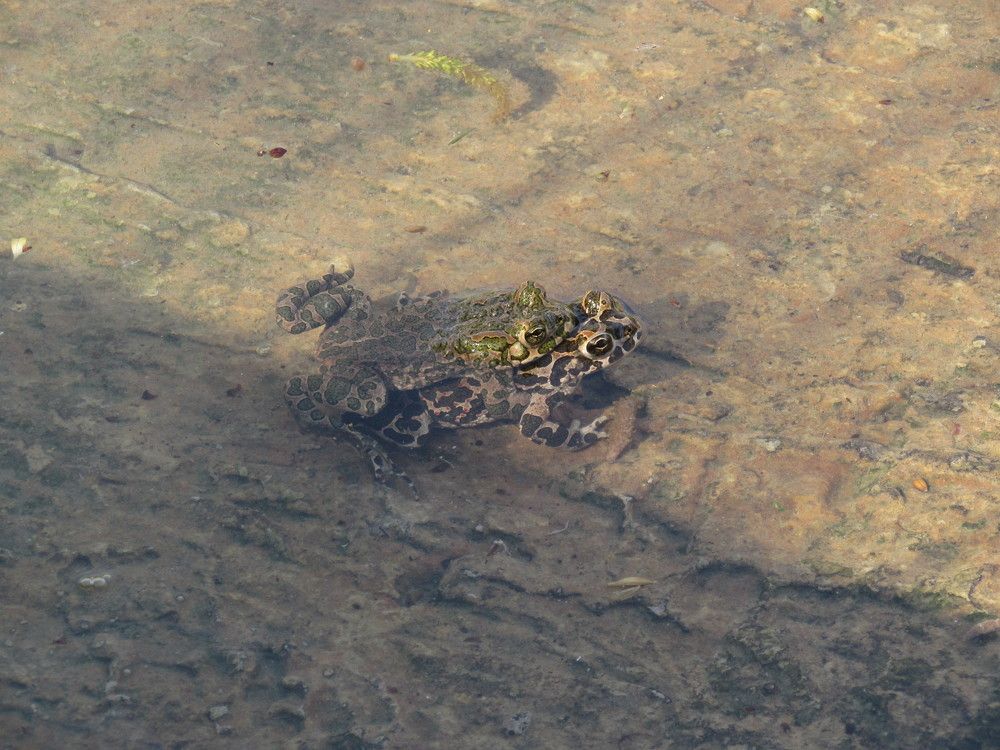 Photograph by Елена Кузнецова