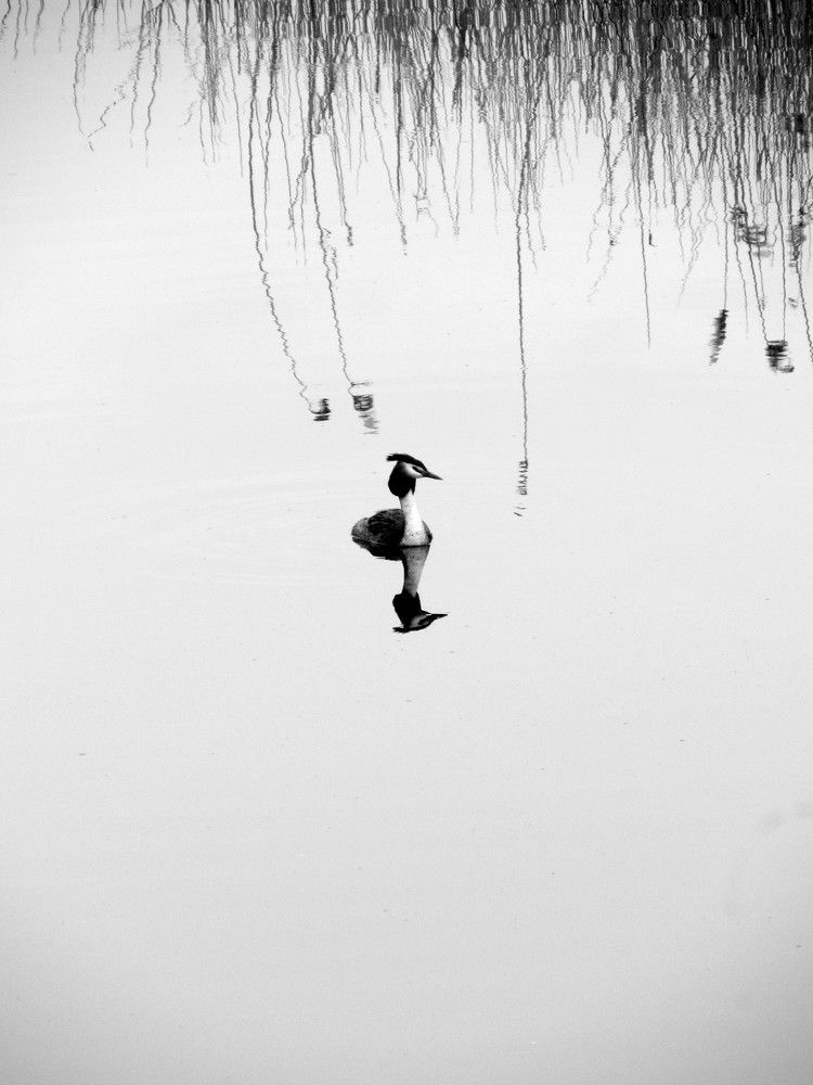 Photograph by Елена Кузнецова