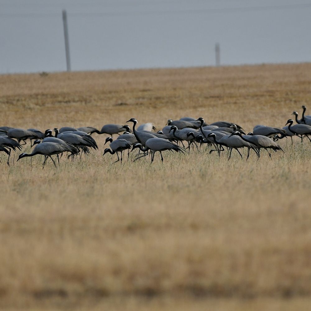 Photograph by Александр Катунцев