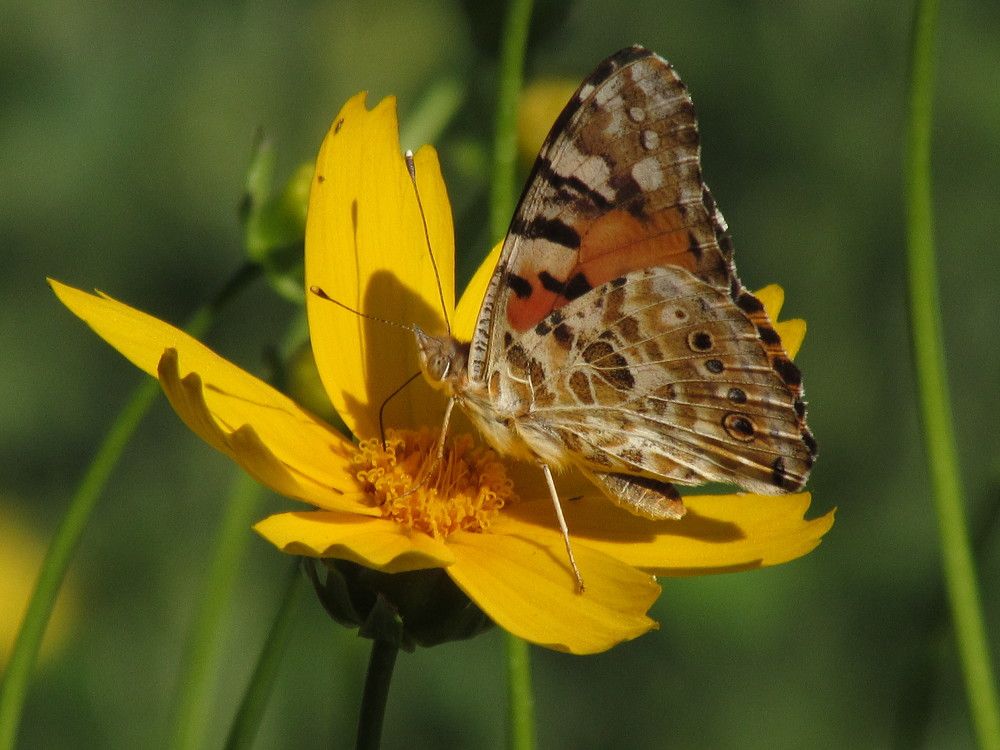 Photograph by Елена Кузнецова