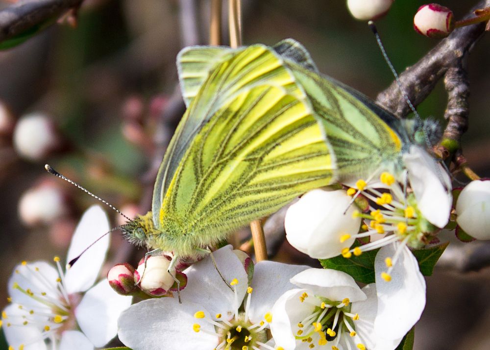 Photograph by Анна Евдокименко