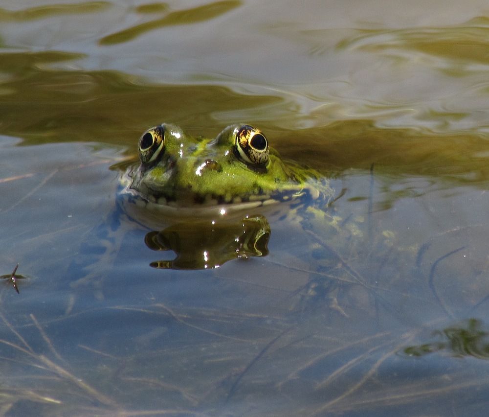 Photograph by Елена Кузнецова