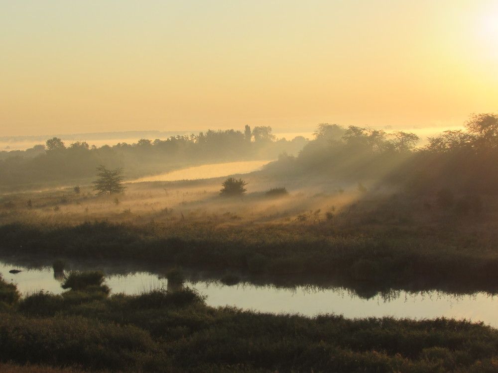 Photograph by Елена Кузнецова