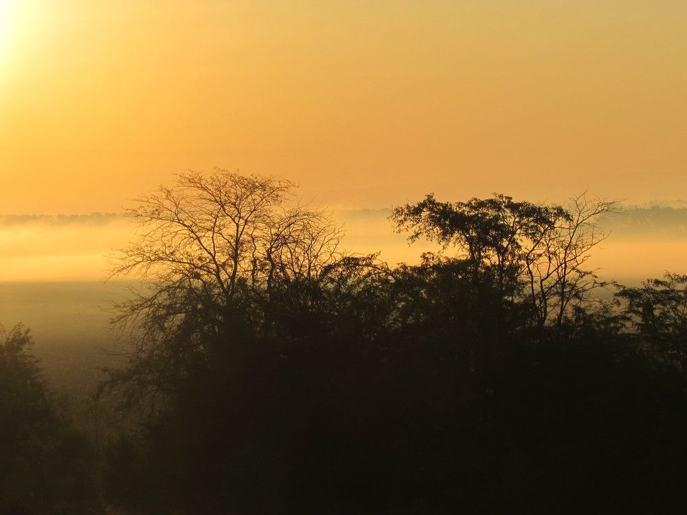 Photograph by Елена Кузнецова