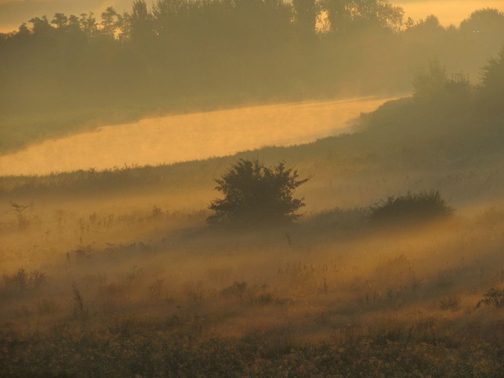 Photograph by Елена Кузнецова